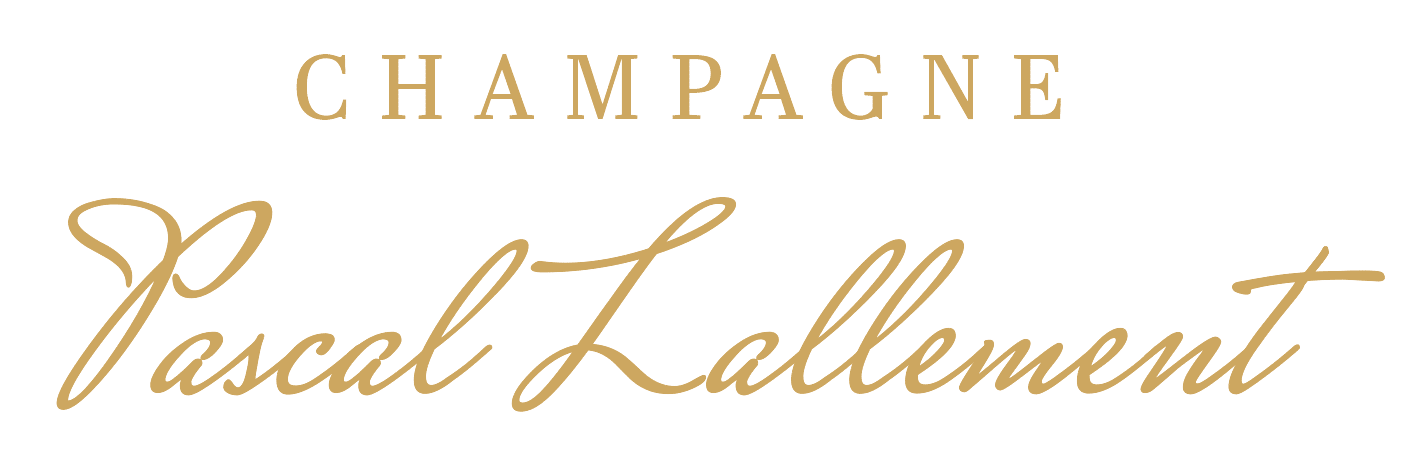 LOGO OR 2